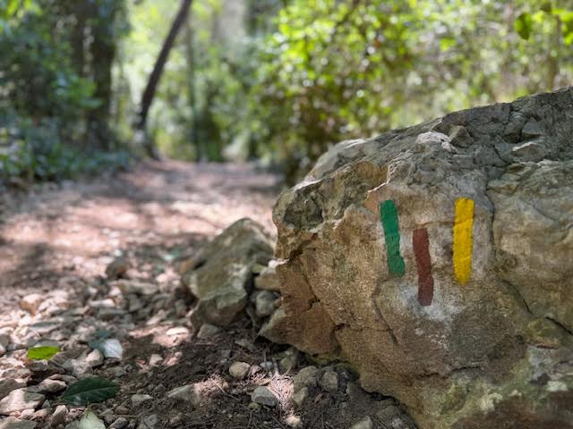 Randonnée calanque de l'Escu