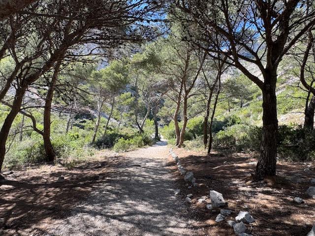 Randonnée calanque de l'Escu