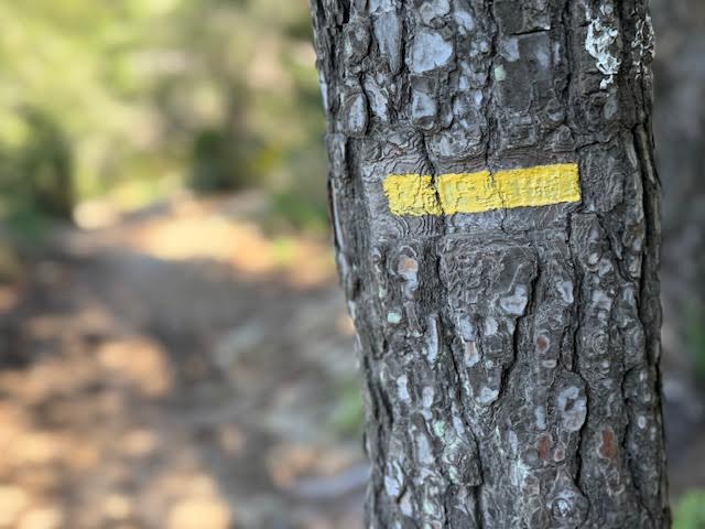 Randonnée calanque de l'Escu