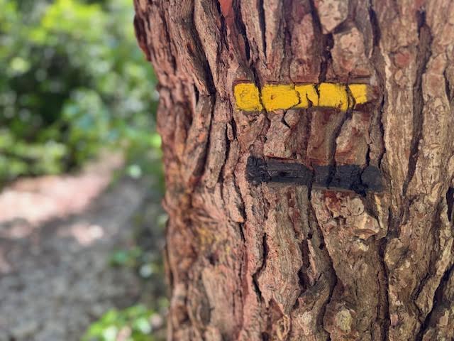 Randonnée calanque de l'Escu