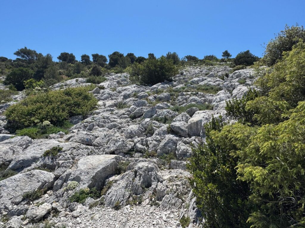 Sur le plateau de l'Homme mort