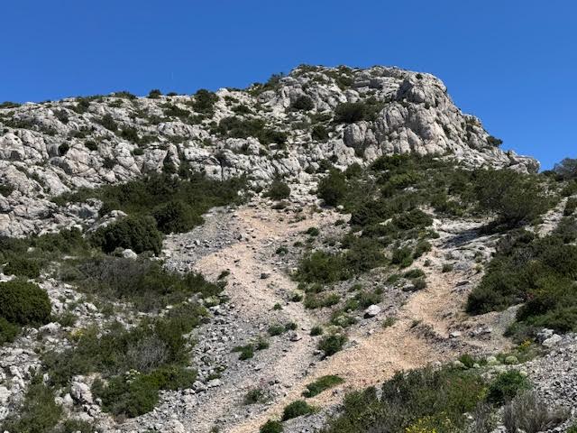 Randonnée calanque de l'Escu