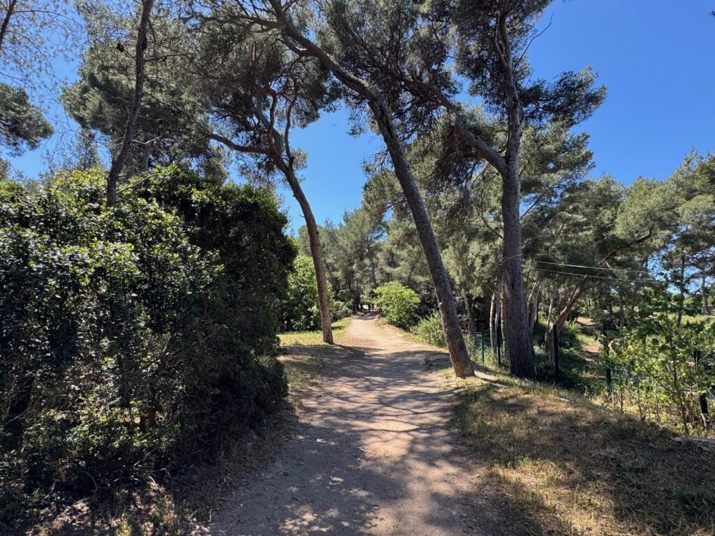 Allée du par Pastré à Marseille