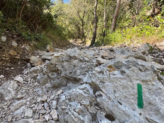 Randonnée calanque de l'Escu