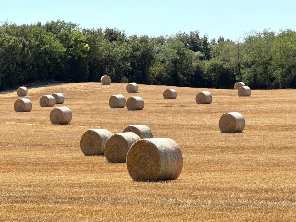 La campagne à Anthon (Isère)