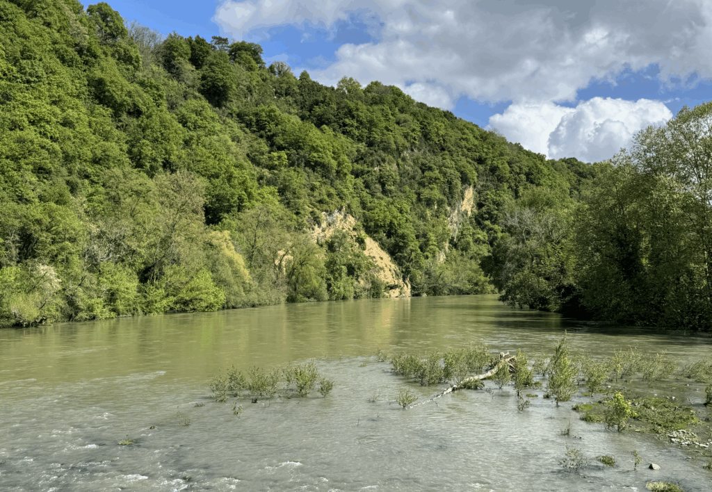 Gave d'Oloron à Castagnède (Pyrénées- Atlantiques)