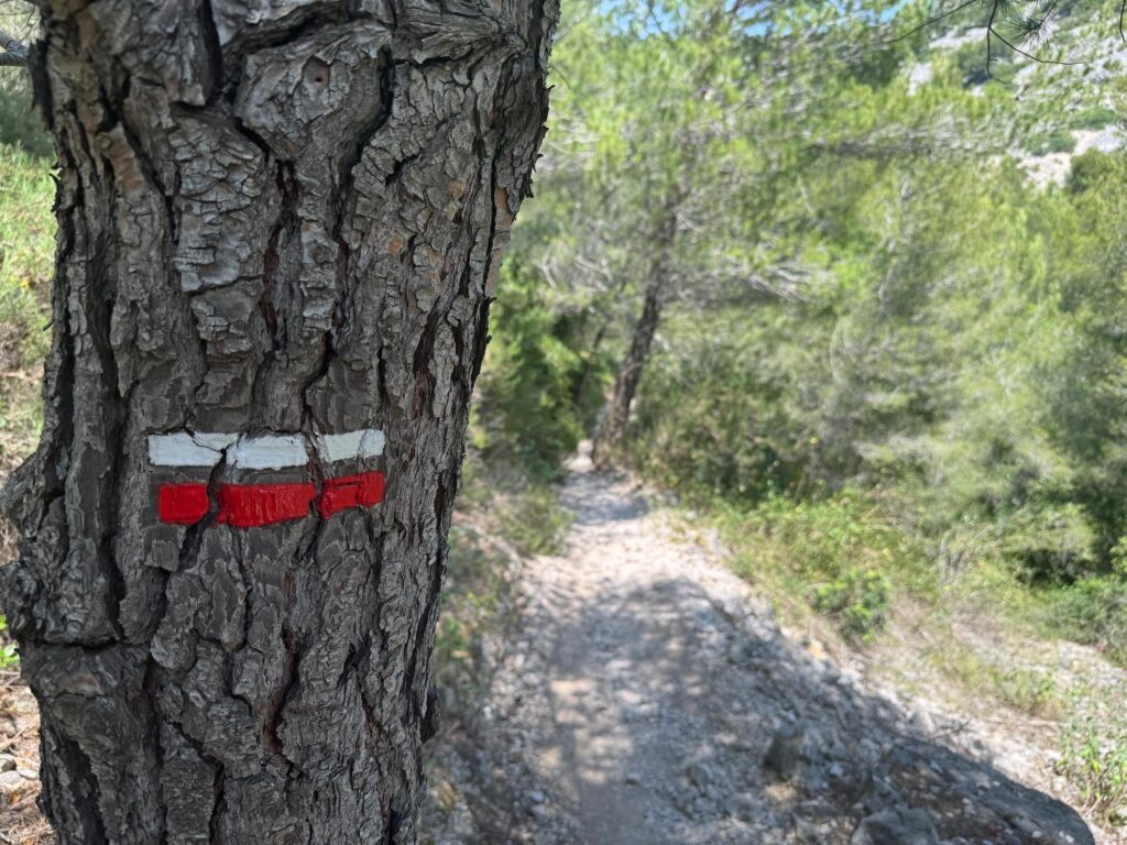 Traversée des calanques de Marseille à Cassis