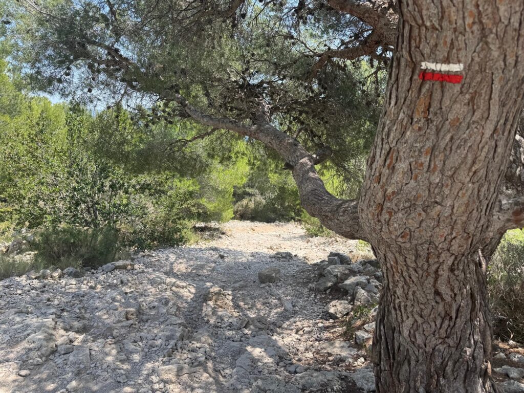 Traversée des calanques de Marseille à Cassis