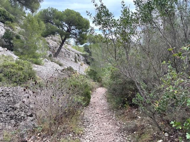 Randonnée au Belvédère d'en Vau