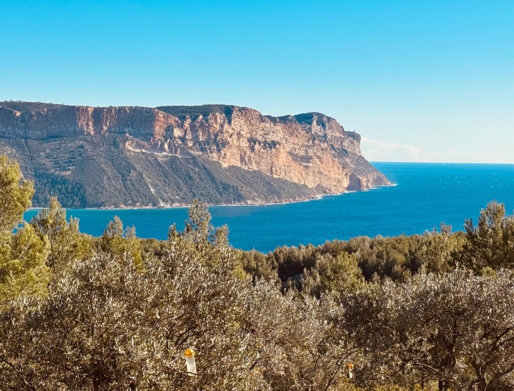 La falaise de Cassis