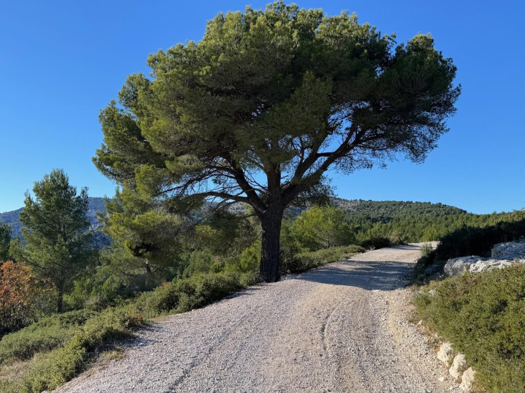 Randonnée Calanque d'en Vau