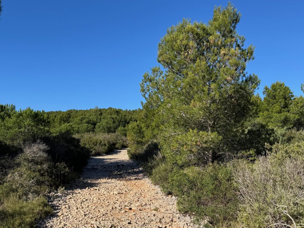 Randonnée Calanque d'en Vau