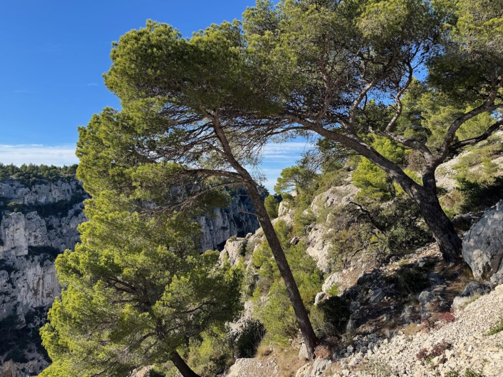 Randonnée Calanque de Port-Pin