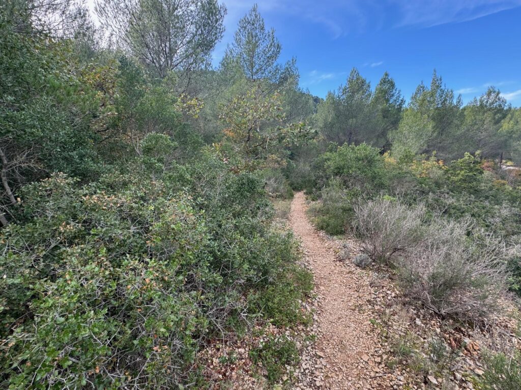 Randonnée au Belvédère d'en Vau