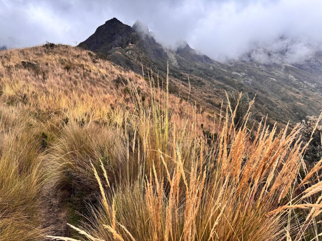 Sur le sentier du Rumiñahui, Équateur