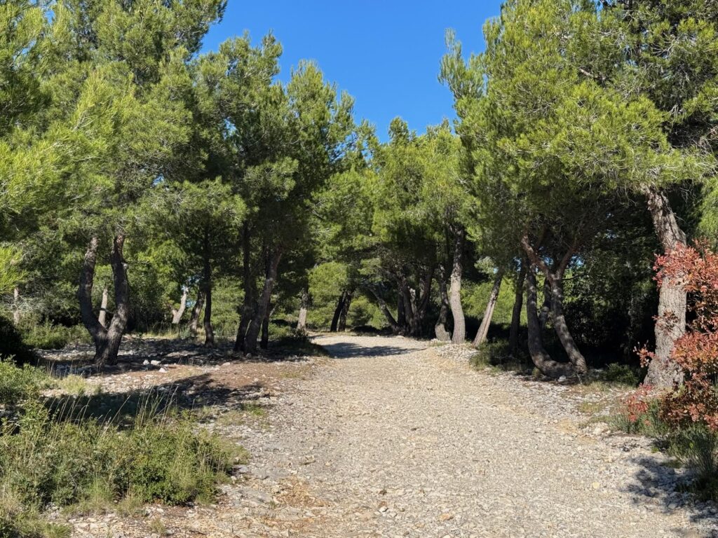 Randonnée Calanque d'en Vau