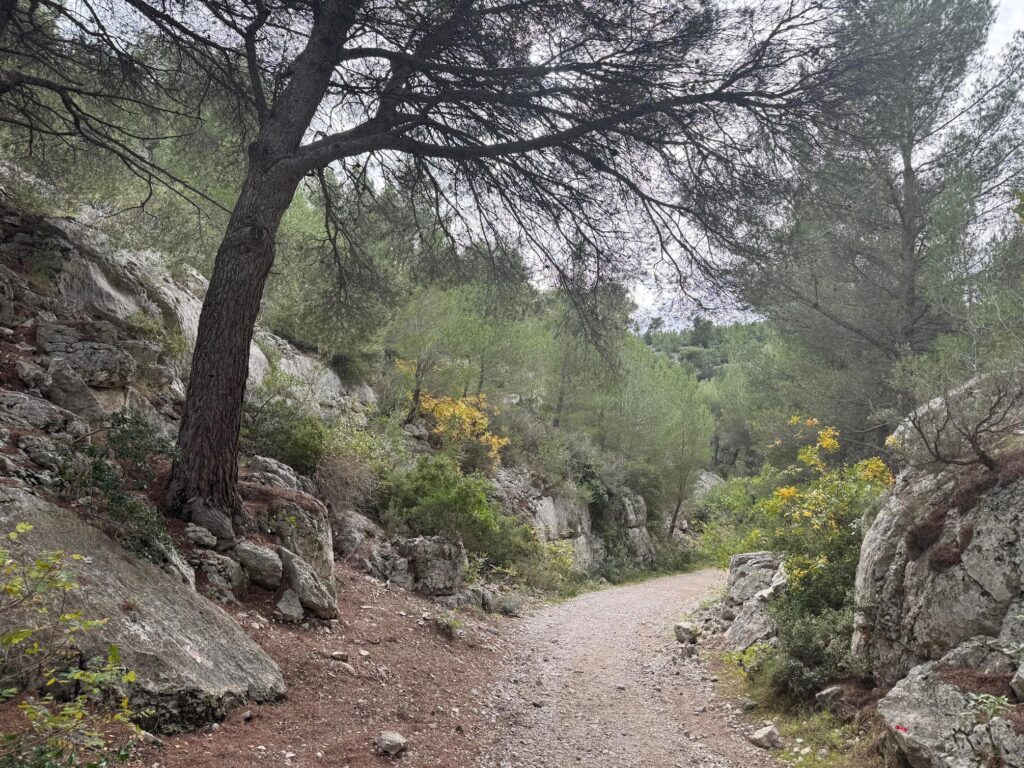 Randonnée les Falaises du Devenson
