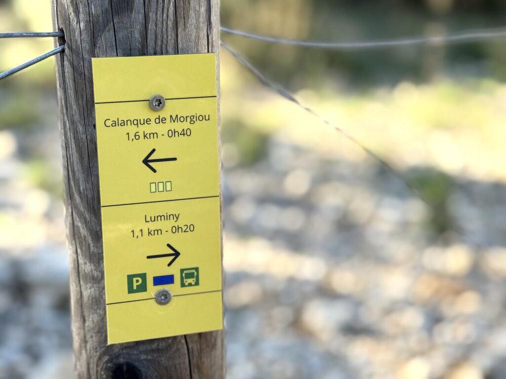 Le chemin retour vers Luminy