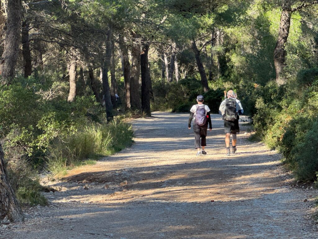 Le chemin retour vers Luminy