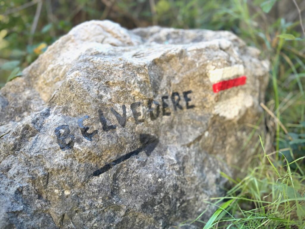 Randonnée Calanque d'en Vau