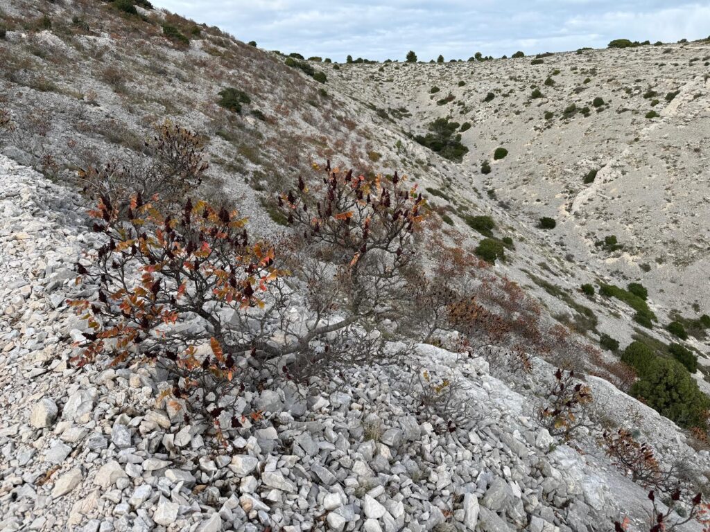 Randonnée les Falaises du Devenson