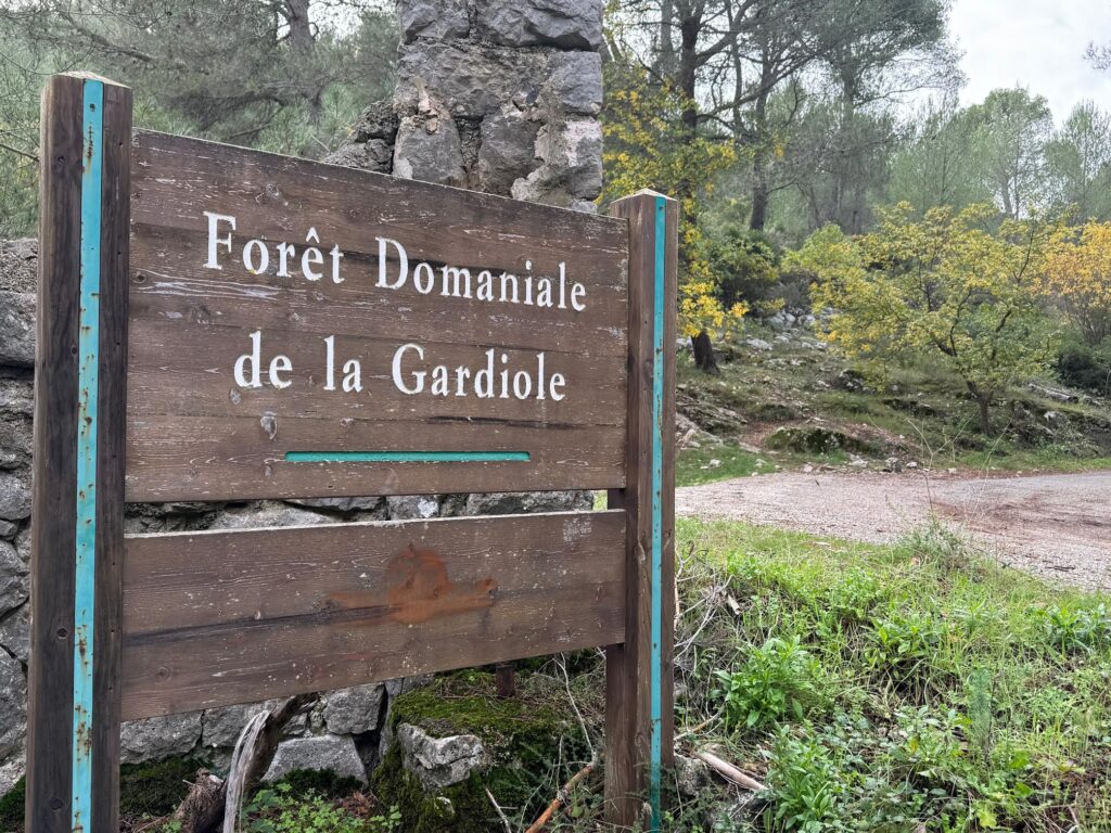 La Forêt domaniale de la Gardiole, Marseille