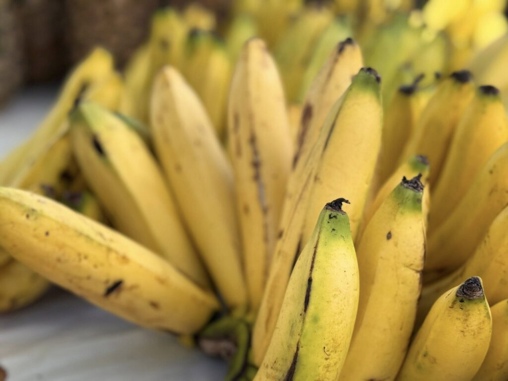Marché de Saquisilì, Équateur
