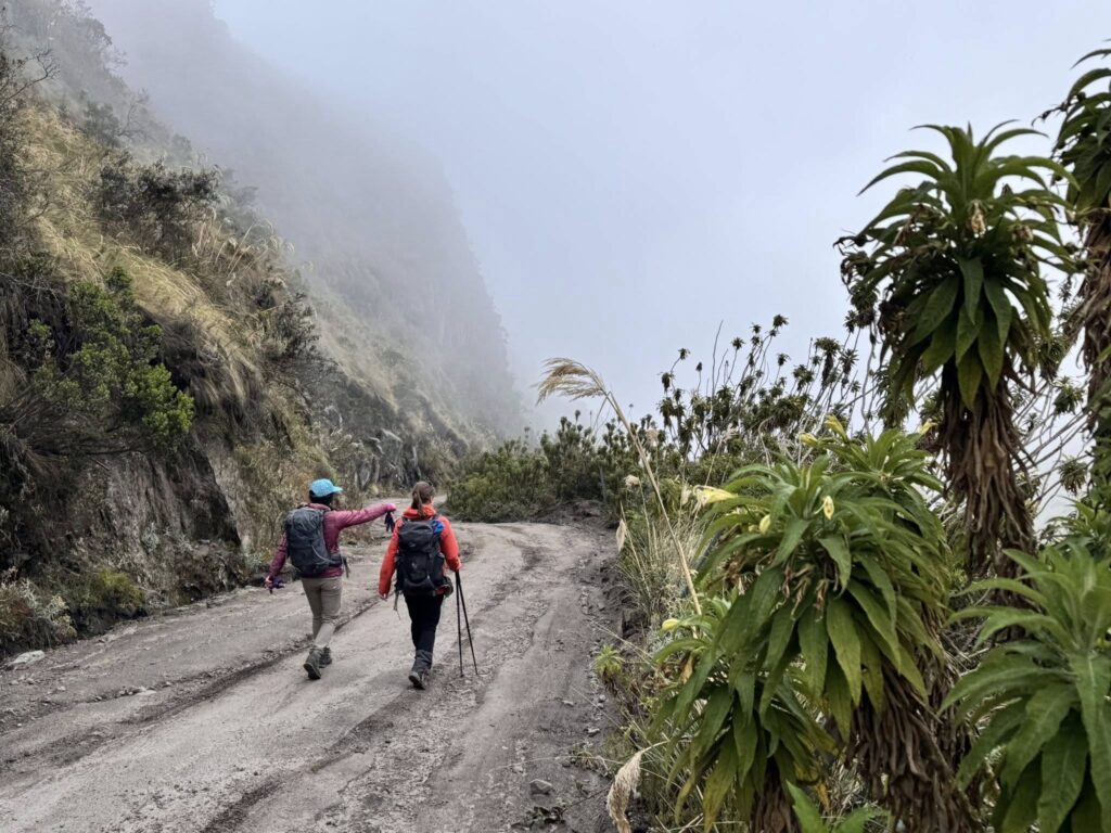 Ascension des géants d'Équateur