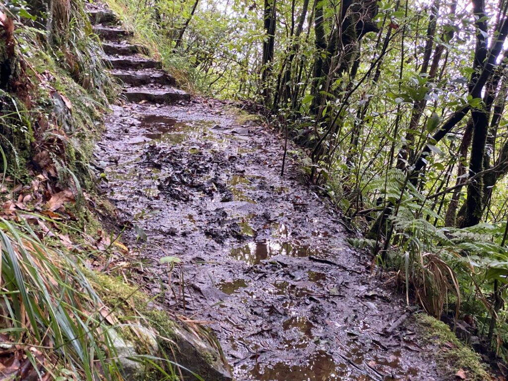 Randonnée à Madère