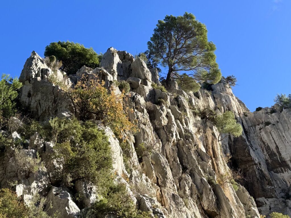 Randonnée Calanque d'en Vau