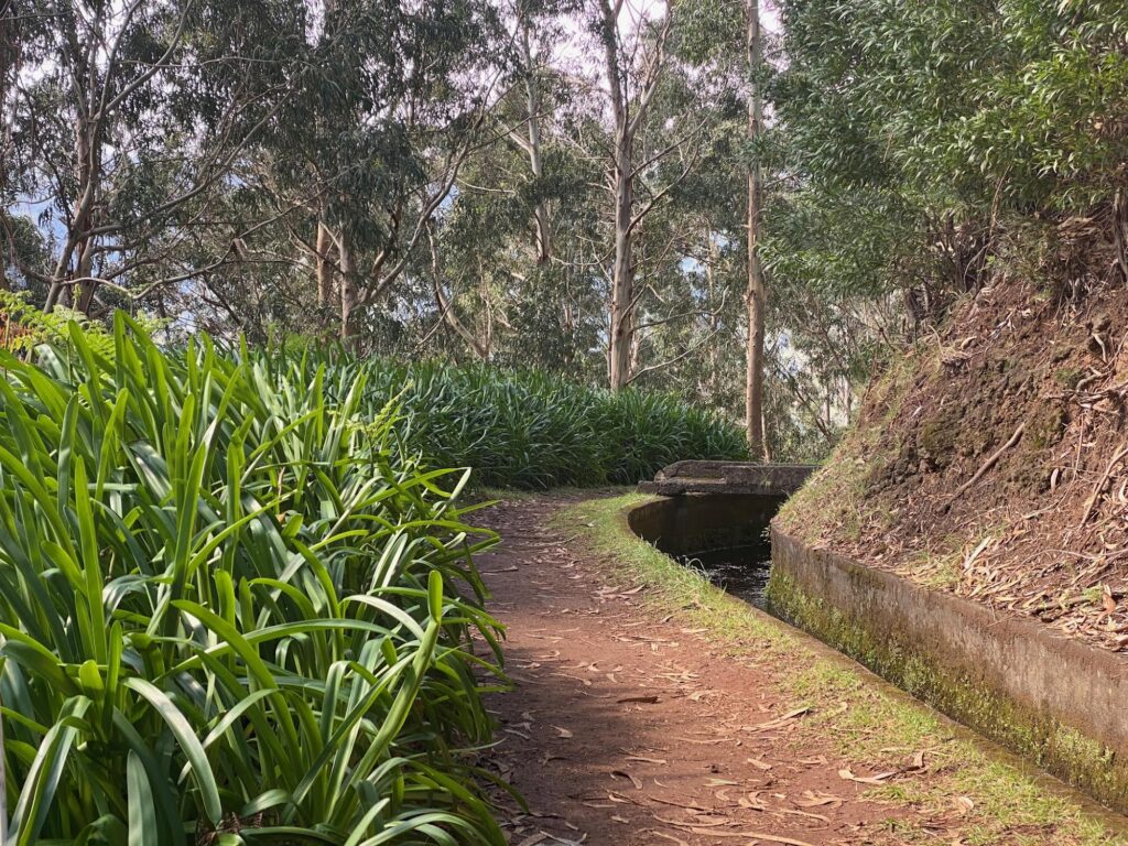 Randonnée à Madère