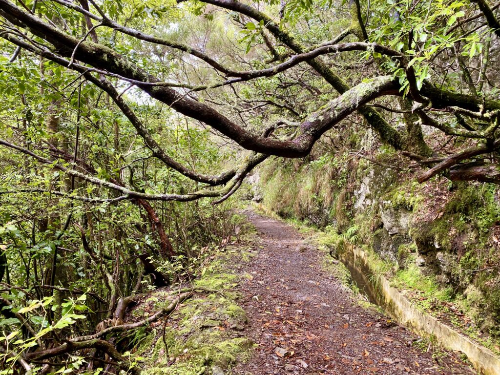 Randonnée à Madère