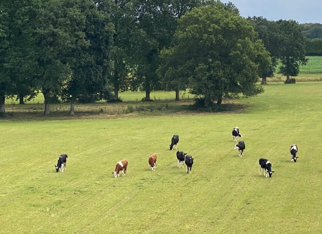 Tour de Bretagne à vélo