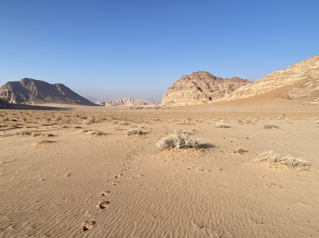 Le désert du Wadi Rum