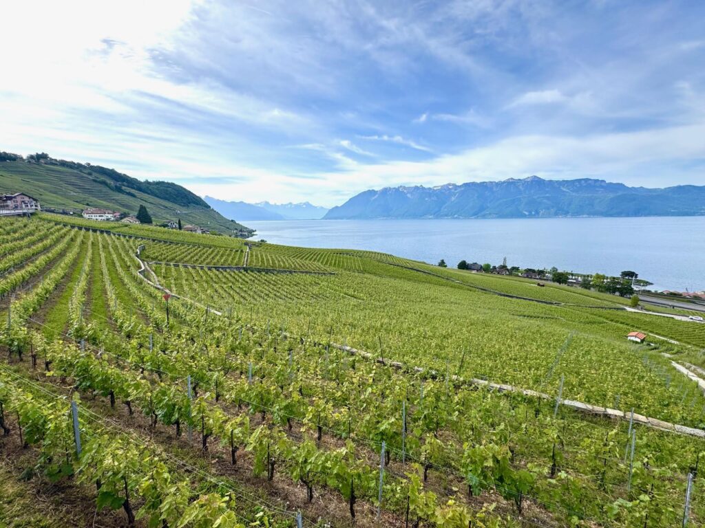 Les terrasses de Lavaux, Suisse