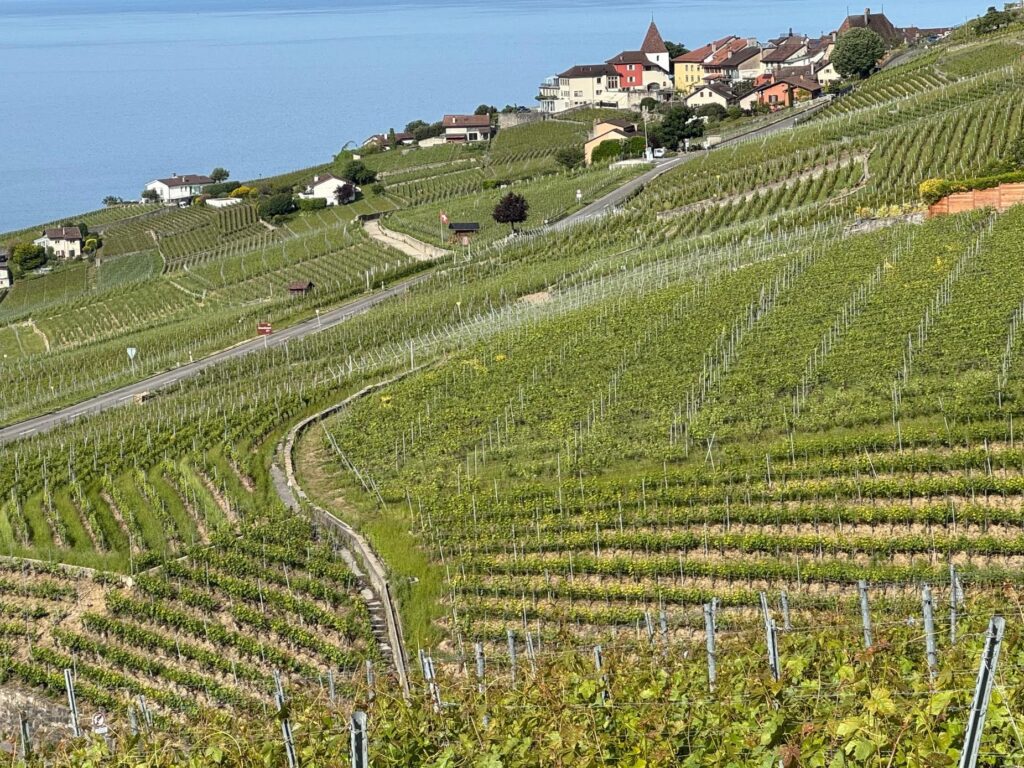 Les terrasses de Lavaux, Suisse
