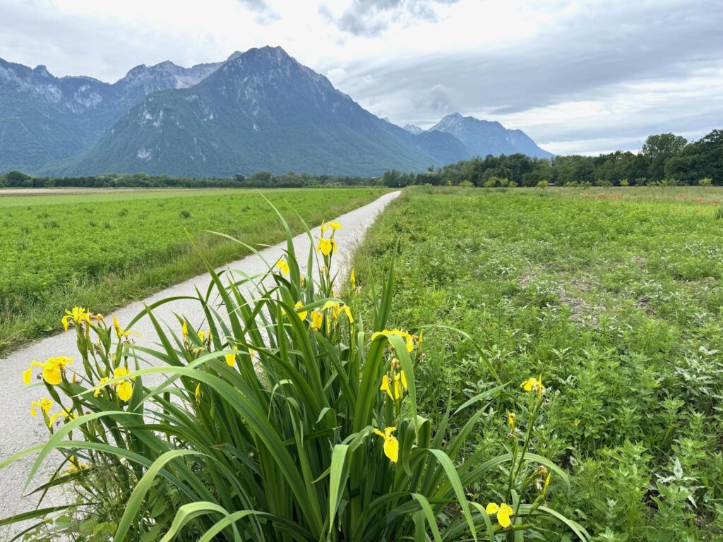 La Route 46 à Noville, Suisse