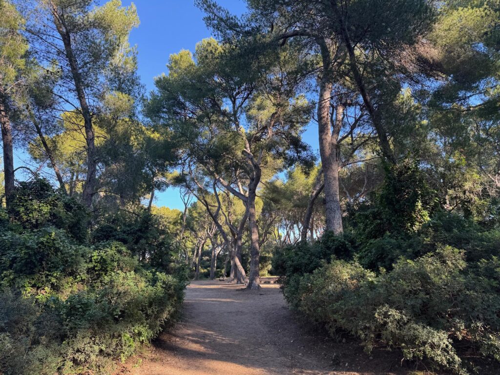 Randonnée Sommet de Marseilleveyre