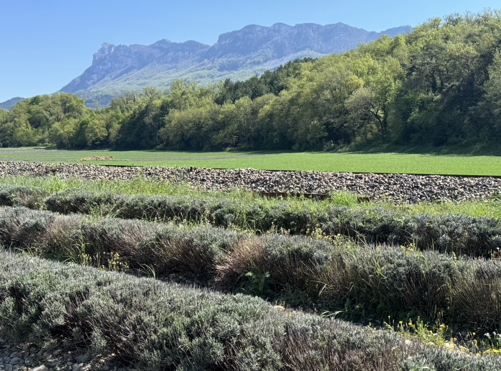 La Drôme provençale à vélo