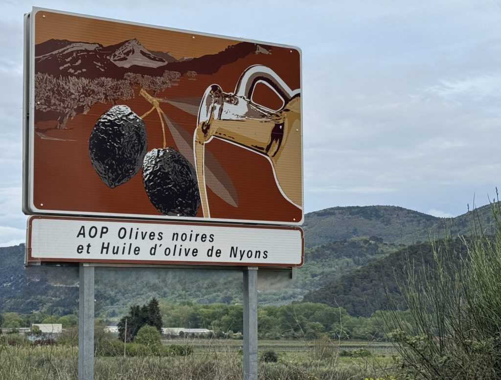 L'olive AOP de Nyons (Drôme)
