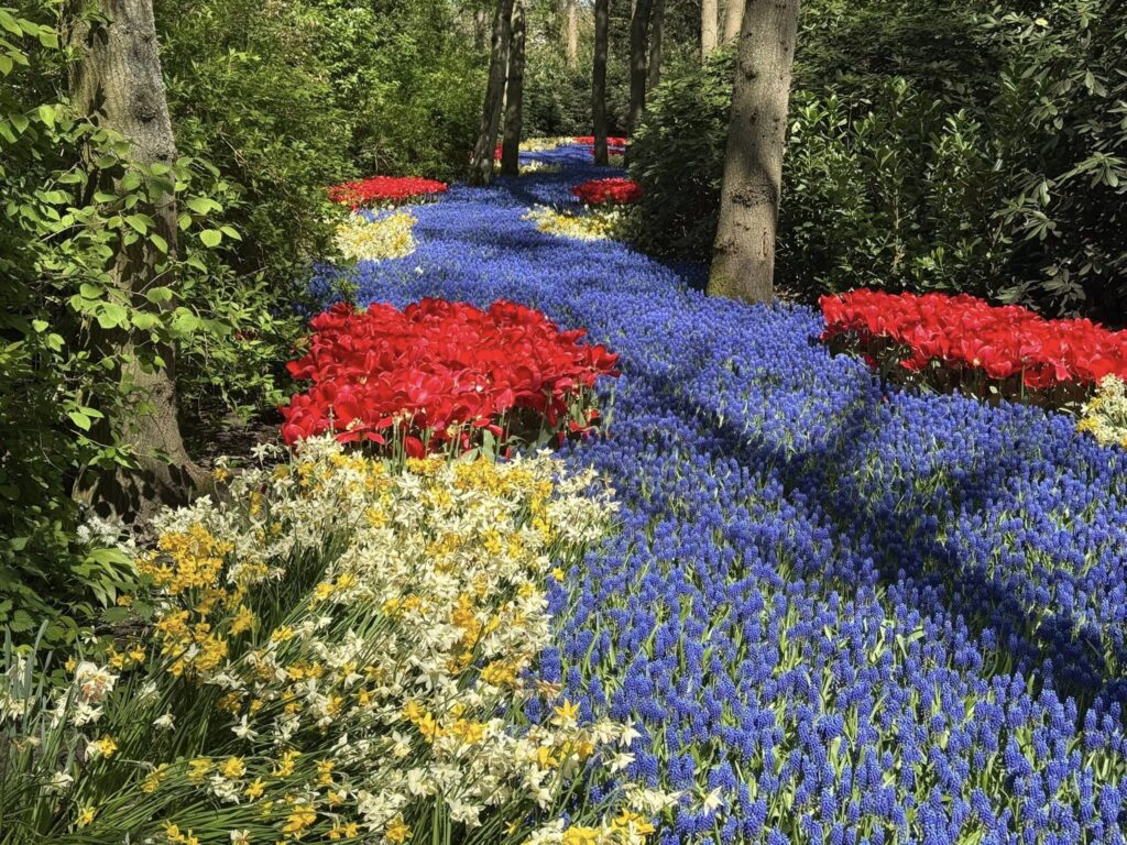 Keukenhof