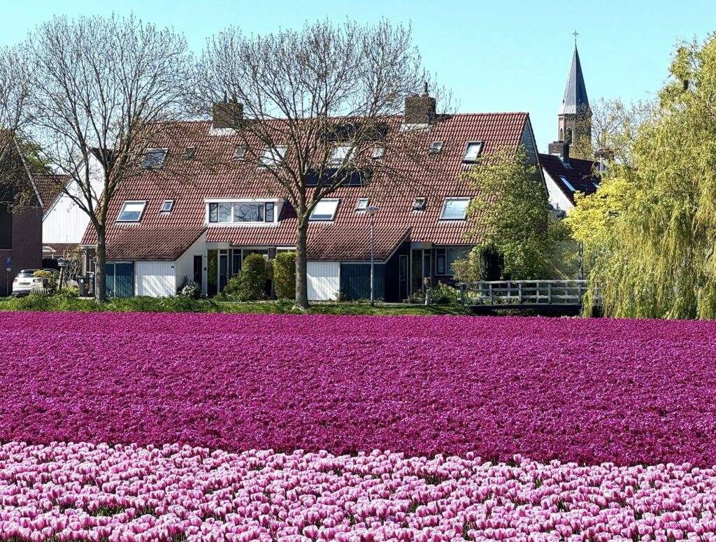 Le printemps aux Pays-Bas