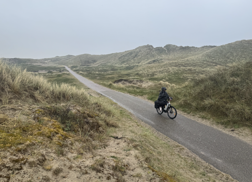 Les dunes de Bergen aan Zee, Pays-Bas