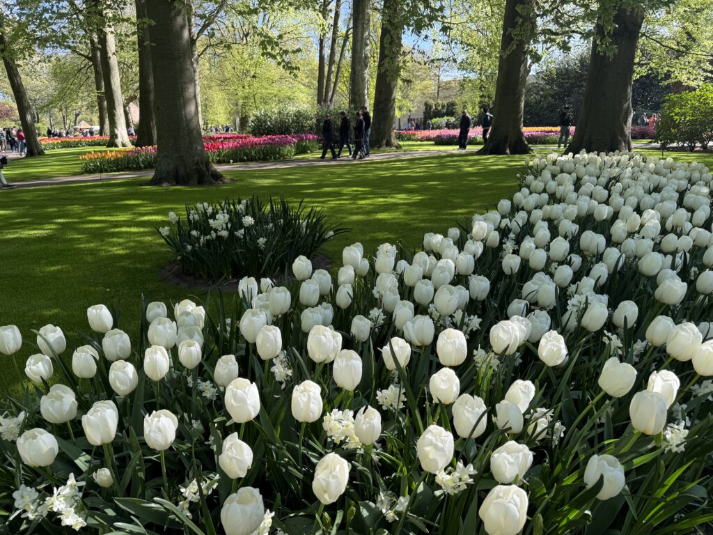 Keukenhof