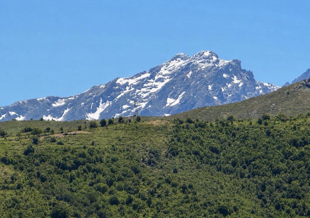 Palasca, Haute-Corse