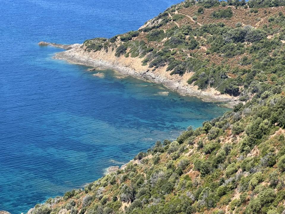 Haute-Corse