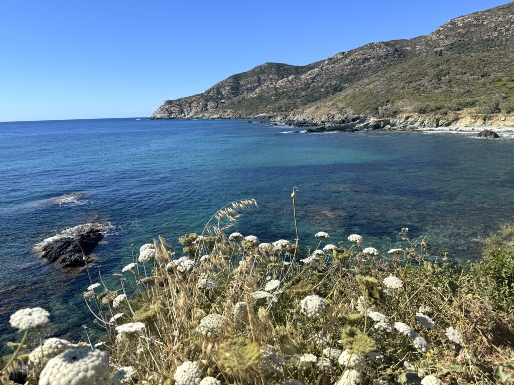 Centuri, Cap Corse