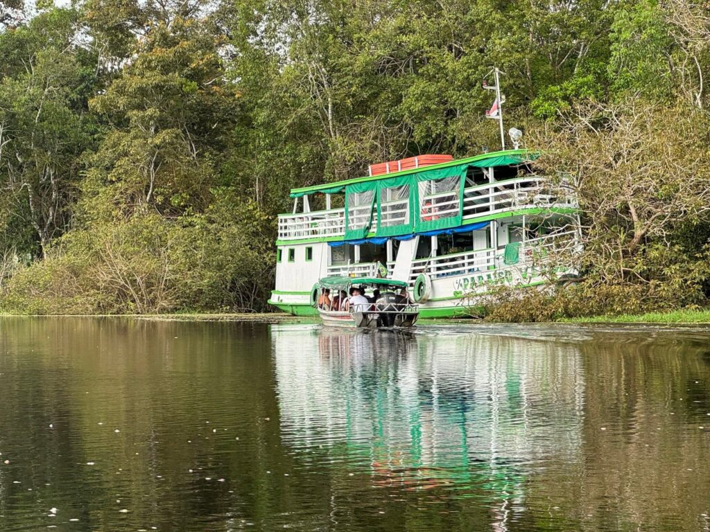 Sur le Rio Negro, Brésil