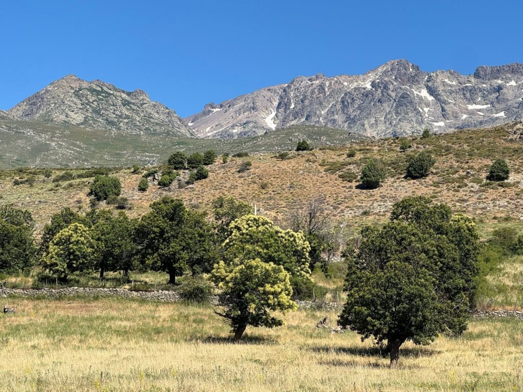 GT 20 entre le col de Vergio et Corte, Corse