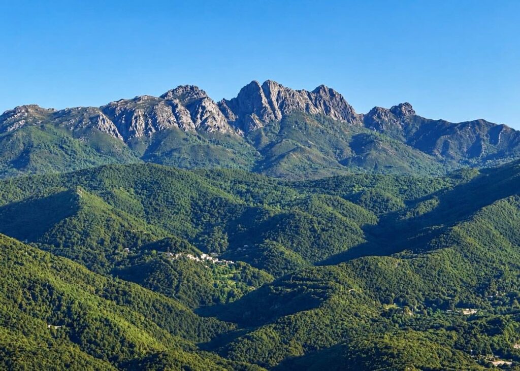 GT 20 en Corse
